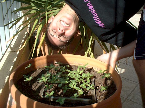 Arne mit Sonnenblumen